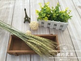 【麦穗】天然植物风干小麦干花装饰花家居客厅艺术装饰拍摄道具