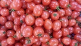 新鲜樱桃番茄 红圣女果小番茄 千禧柿子红宝石3斤装20元 同城配送