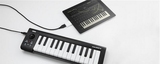 【总代理行货】KORG microKEY 25 MIDI键盘支持ipad/苹果/Windows