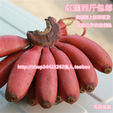 福建土楼特产红banana非进口水果新鲜直发红蕉台湾美人蕉包邮4斤