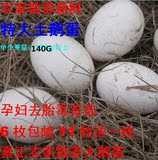 农家散养新鲜大鹅蛋140g土鹅蛋6枚包邮原生态有机孕妇怀孕去胎毒
