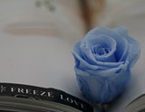 国产A级蓝色永生玫瑰2-3cm永生花礼盒花盒玻璃罩DIY花材满包邮