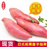 405日式板栗薯手指果 海南红薯 新鲜地瓜 营养高紫薯 广东包邮
