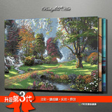 数字油画diy包邮 客厅自然风景美景淡彩系列手绘画 森林春天40*50