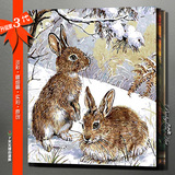数字油画diy包邮 动物宠物家禽淡彩系列手绘画 雪兔40*50 80*100