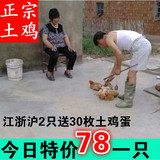 正宗苏北农家散养2年老鸡 老母鸡 月子鸡  土鸡 农家自养笨鸡