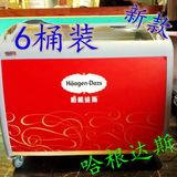 哈根达斯冰柜商用立式冷冻展示柜硬质冰柜小型冰箱自助餐用 6桶柜