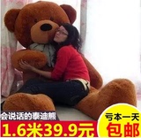 正版毛绒玩具瞌睡熊眯眼泰迪熊1.2米1.6米2米批发大娃娃