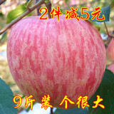 烟台栖霞大苹果水果新鲜红富士比阿克苏冰糖心好吃