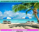 碧海蓝天沙滩椰树欧摄影风景马尔代夫大幅海报背景墙贴装饰画定制