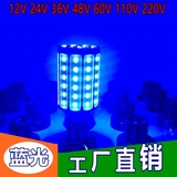 超亮蓝光LED玉米灯植物生长灯12V24V36V48V60V110V220V工厂直销