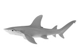 美国Safari正版2016年新款 窄头双髻鲨鱼 儿童玩具动物模型200329
