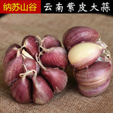 云南农家自种有机紫皮大蒜500g 16年新鲜瓣蒜 红皮大蒜头蔬菜批发