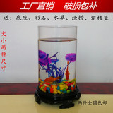 小型小金鱼斗鱼造景生态迷你鱼缸创意办公桌面装饰玻璃摆件鱼缸