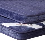 立体床垫加厚 可折叠海绵床褥子珊瑚绒竹炭法莱绒透气榻榻米垫被