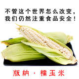西双版纳农家自种糯玉米 非转基因玉米水果玉米新鲜甜玉米棒4斤