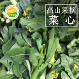 广东乐优农家菜心蔬菜新鲜1斤 深圳菜心绿色青菜时令有机蔬菜花