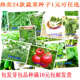 蔬菜种子套餐 阳台盆栽四季播易种菜种子 高产种子 春播菜籽庭院