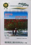 寿光蔬菜种子 番茄树种子 农科院京丹6号番茄树专用种
