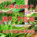 蔬菜种子小白菜油菜生菜油麦菜韭菜香葱菠菜空心菜茼蒿木耳菜包邮
