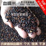 【枣庄农家】新货血糯米紫糯米 有机黑糯米五谷杂粮粗粮 500g