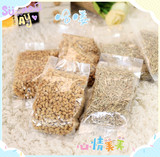 猫草种子 优质小麦种子 吐毛球 猫咪零食自生产