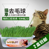 水晶猫草营养猫草种子猫草套餐送猫薄荷猫咪去毛球调理肠胃猫零食