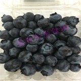 新到智利进口新鲜水果有机野生蓝莓125g/盒 4盒全国大部顺丰包邮