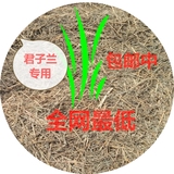 杜鹃茶花兰花卉营养土酸性土松针腐殖土腐叶土君子兰专用土蓝莓土