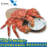 智利进口小帝王蟹新鲜熟冻即食大螃蟹400-500g海鲜水产顺丰包邮