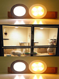 新品高档led灯龙猫仓鼠宠物柜笼子配件一按即亮 暖光白光可选包邮