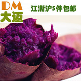 新鲜紫薯生紫心薯番薯山芋红薯地瓜农家有机种植小紫薯5斤包邮