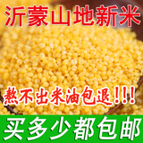 250g沂蒙山农家有机黄小米 月子米 小黄米新米 无污染宝宝米 包邮