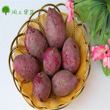 润土新鲜蔬菜 紫薯番薯红薯迷你小紫薯 越南进口500g