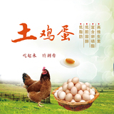 皖北土鸡蛋 农家散养 新鲜月子有机纯天然柴鸡蛋 草鸡蛋30枚包邮