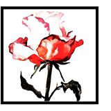 北欧小资清新文艺粉色粉红玫瑰手绘水彩花卉植物插画 木框装饰画