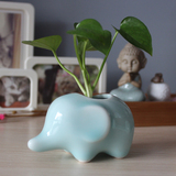 陶瓷小象小花瓶 创意迷你水培花插 个性家居装饰铜钱草绿萝花器