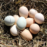 正宗农家散养土鸡蛋30枚 草鸡蛋笨鸡蛋农村自养纯天然当天新鲜