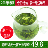 日照绿茶2016年新茶春茶无公害绿茶雪青炒青茶叶500g包邮板栗香