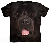 美国代购the mountain黑色纽芬兰犬时尚3D动物印花短袖加肥加大