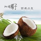 【溢果优品】海南特产新鲜椰子去皮2个9斤包邮汁多肉甜原产地直发