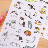 韩版创意可爱猫咪贴纸PVC透明装饰手帐贴画日记相册手账贴纸6张入