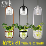 植物吊灯创意吧台吊灯餐厅灯北欧田园简约玻璃阳台美式盆栽吊灯