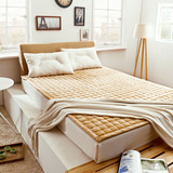 可水洗法莱绒床褥子学生宿舍床垫保暖加厚床护垫被席梦思保护垫薄