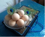 孔雀蛋.受精孔雀种蛋白孔雀种蛋.蓝孔雀种蛋无精孔雀蛋保证受精率