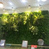植物墙背景绿植墙仿真草坪加密客厅假花人造塑料地毯绿色阳台装饰