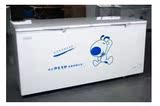 伊莱克斯BD/BC-538冰柜冷柜冷藏柜冷冻柜商用单温一室冻肉一级