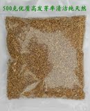 2015年新小麦种子种植有机小麦苗榨小麦草汁保健500克店庆促销