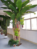 包邮仿真芭蕉树室内酒店装饰香蕉树落地盆栽盆景客厅大型绿色植物