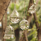 【果子家】创意灯工玻璃水培花瓶 透明水晶玻璃吊瓶 悬挂式花瓶